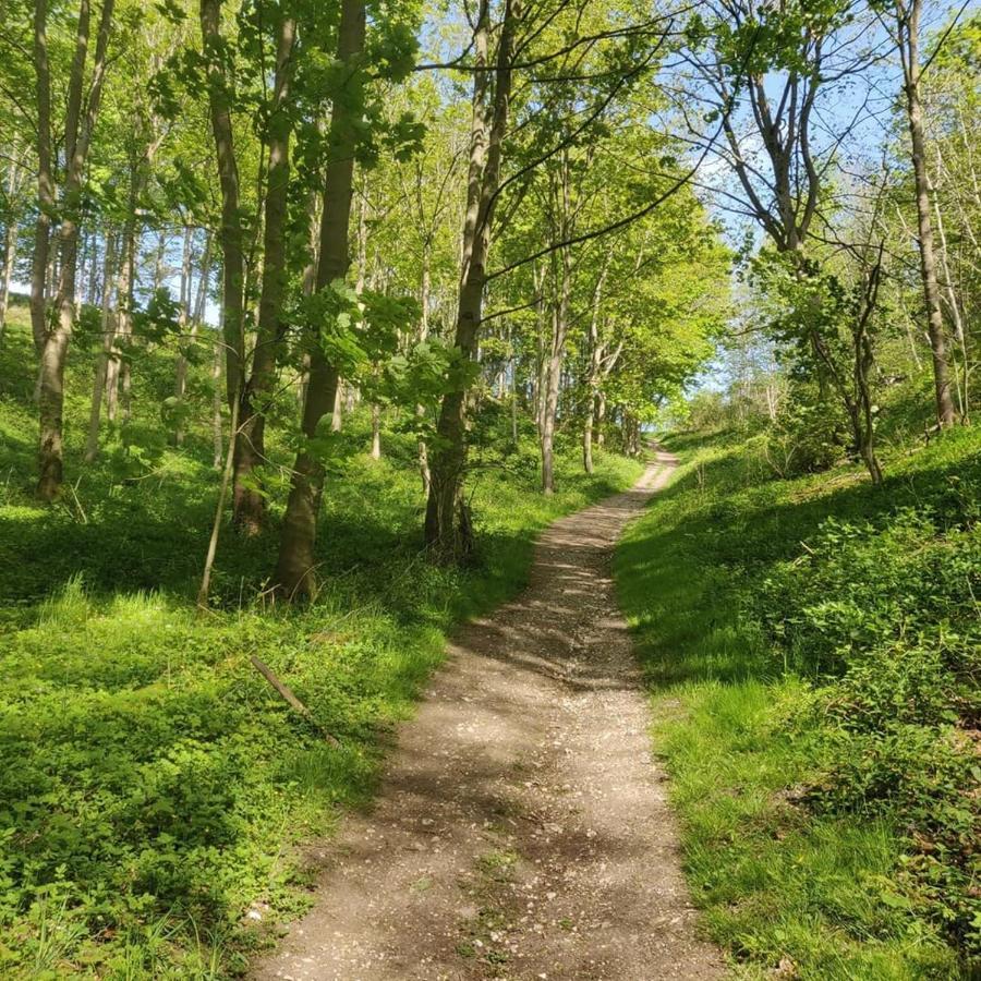 Holly Cottage, Hidden Gem In The Yorkshire Wolds Welton  Eksteriør bilde