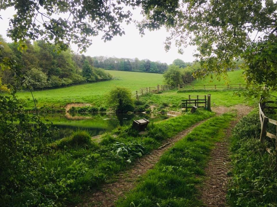 Holly Cottage, Hidden Gem In The Yorkshire Wolds Welton  Eksteriør bilde